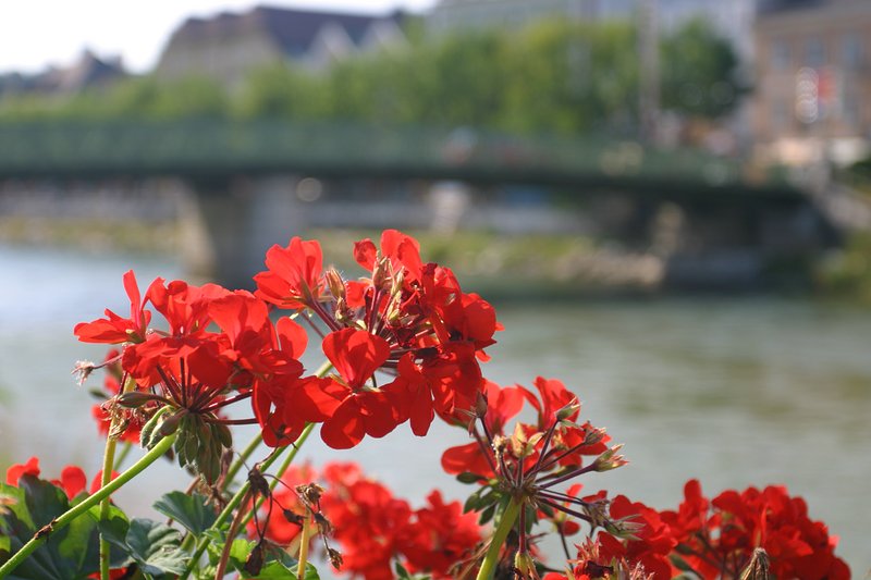 Bad Ischl